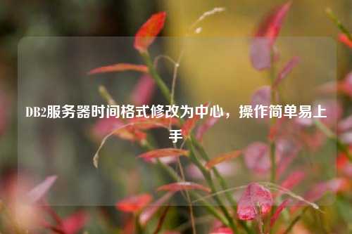 DB2服務器時間格式修改為中心，操作簡單易上手