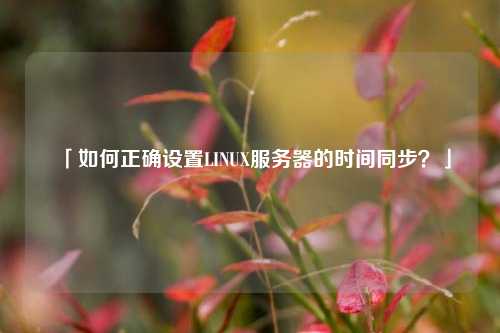 「如何正確設置LINUX服務器的時間同步？」