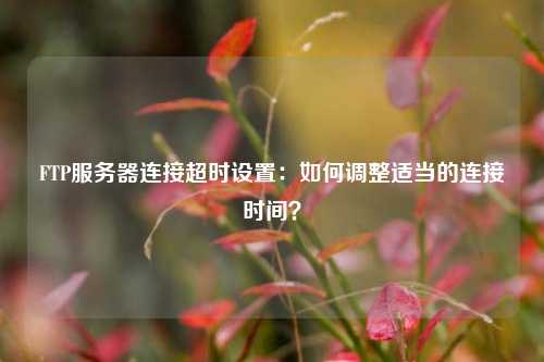 FTP服務(wù)器連接超時設(shè)置：如何調(diào)整適當?shù)倪B接時間？