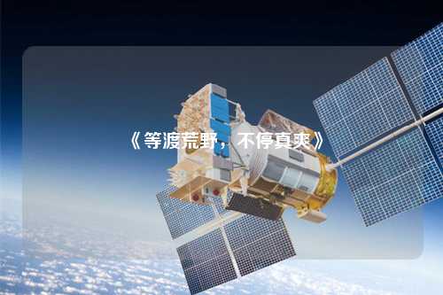 《等渡荒野，不停真爽》