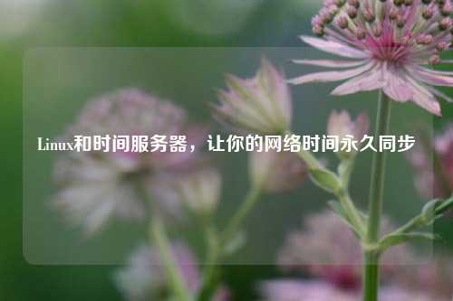 Linux和時間服務器，讓你的網絡時間永久同步