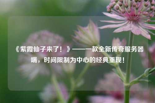 《紫霞仙子來了！》——一款全新傳奇服務器端，時間限制為中心的經典重現！