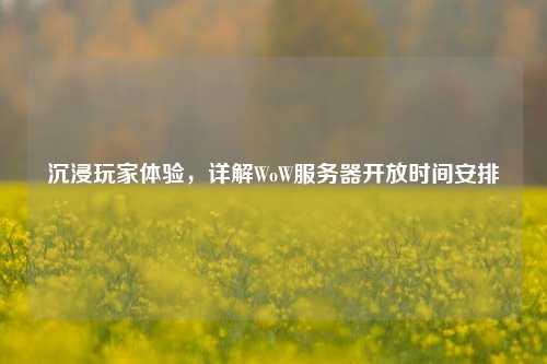 沉浸玩家體驗，詳解WoW服務器開放時間安排