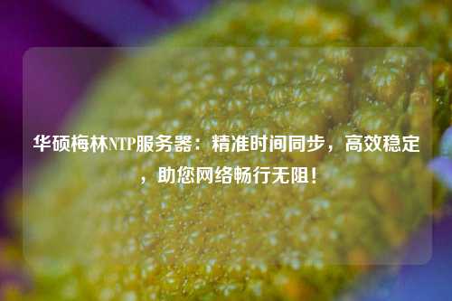 華碩梅林NTP服務(wù)器：精準(zhǔn)時間同步，高效穩(wěn)定，助您網(wǎng)絡(luò)暢行無阻！