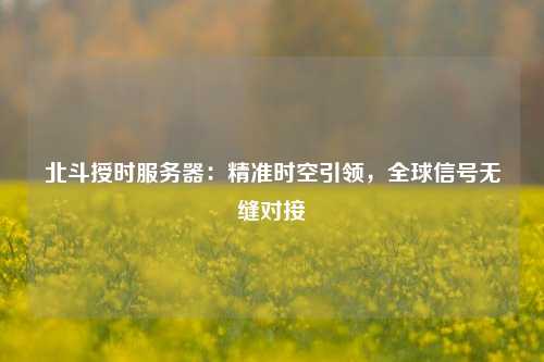 北斗授時服務(wù)器：精準(zhǔn)時空引領(lǐng)，全球信號無縫對接