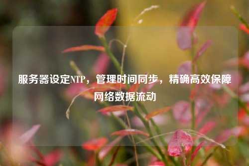 服務器設定NTP，管理時間同步，精確高效保障網絡數據流動