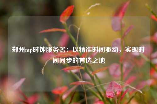 鄭州ntp時鐘服務(wù)器：以精準(zhǔn)時間驅(qū)動，實現(xiàn)時間同步的首選之地