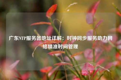 廣東NTP服務器地址詳解：時鐘同步服務助力網(wǎng)絡精準時間管理
