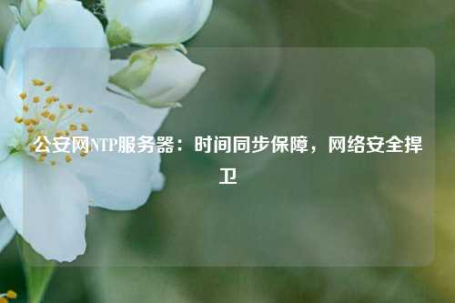 公安網(wǎng)NTP服務(wù)器：時間同步保障，網(wǎng)絡(luò)安全捍衛(wèi)