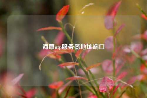 ?？祅tp服務器地址端口